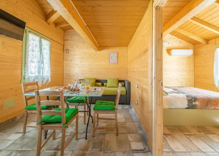 Il Campo Di Nonno Gio *